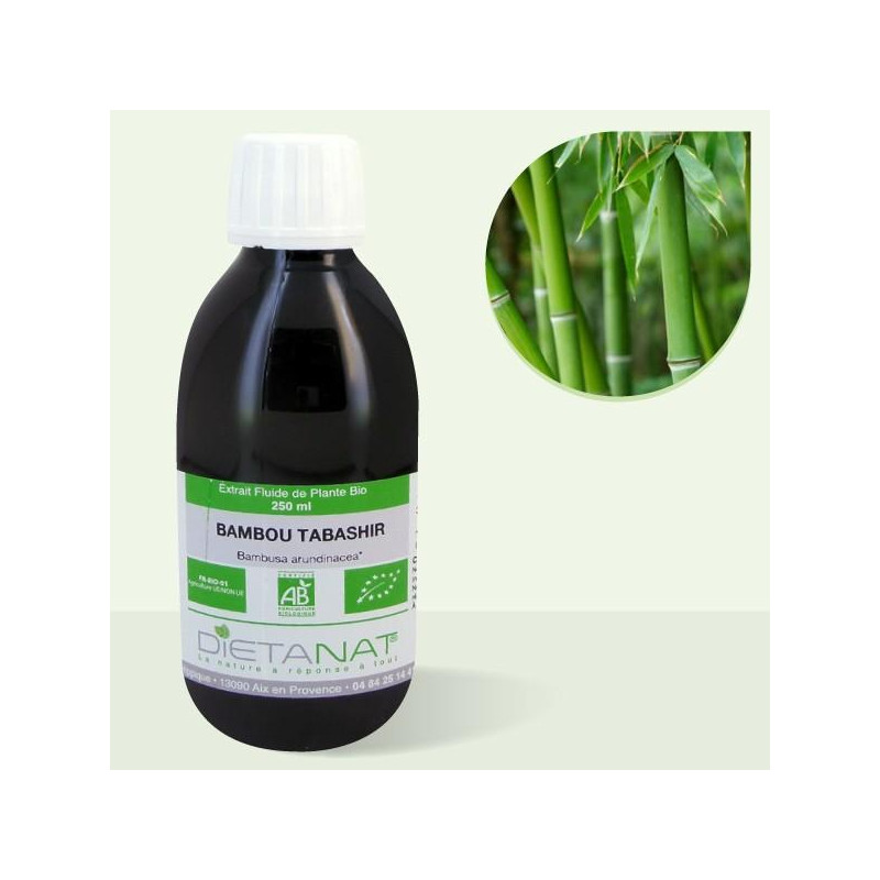Bambou Tabashir bio - 250ml Extrait de plantes fraiches de Dietanat