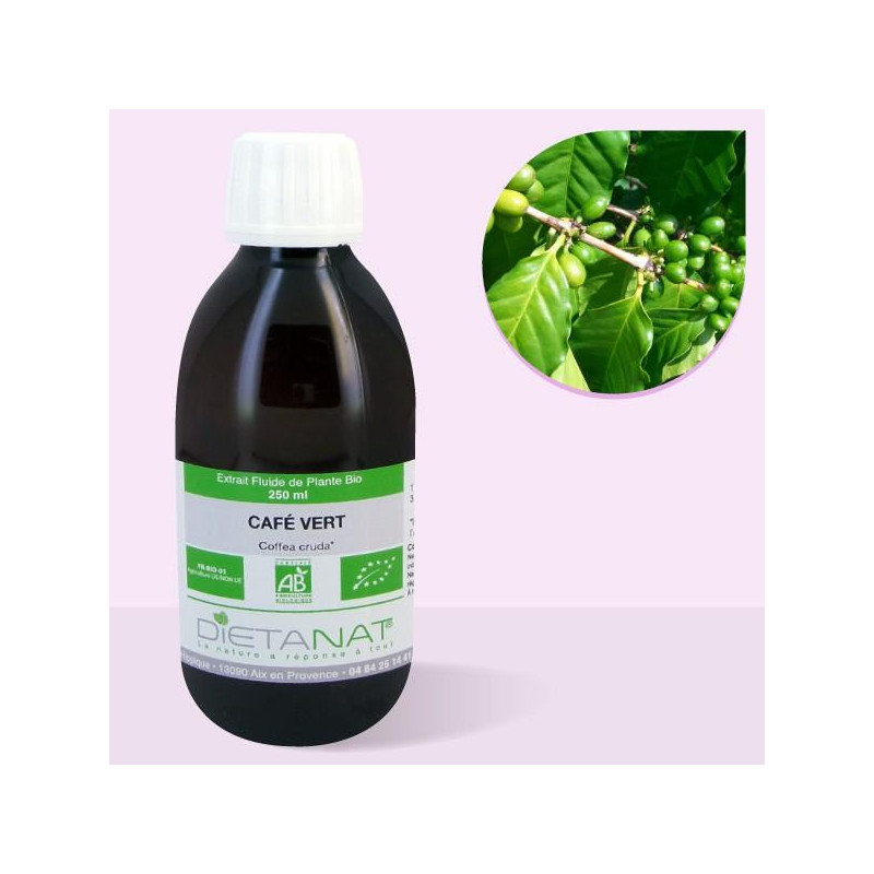 Café Vert bio - 250ml Extrait de plantes fraiches bio de Dietanat