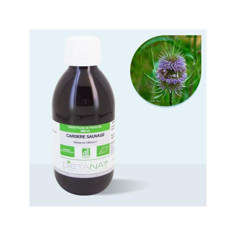 Cardère sauvage bio - 250ml...