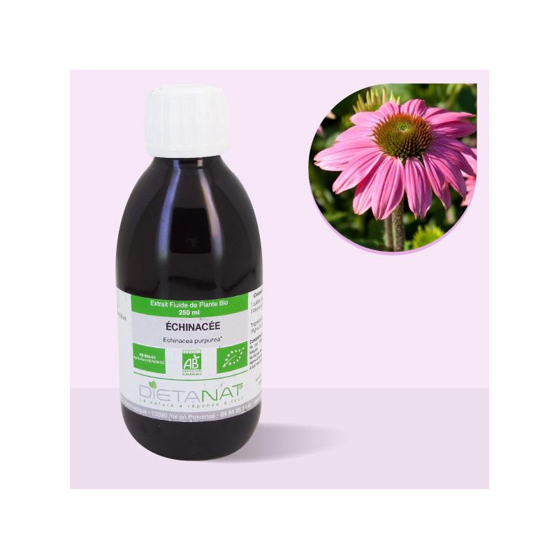 Echinacea Purpurea bio -...