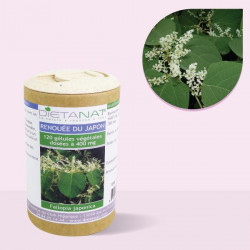 Renouée du Japon bio - 120...