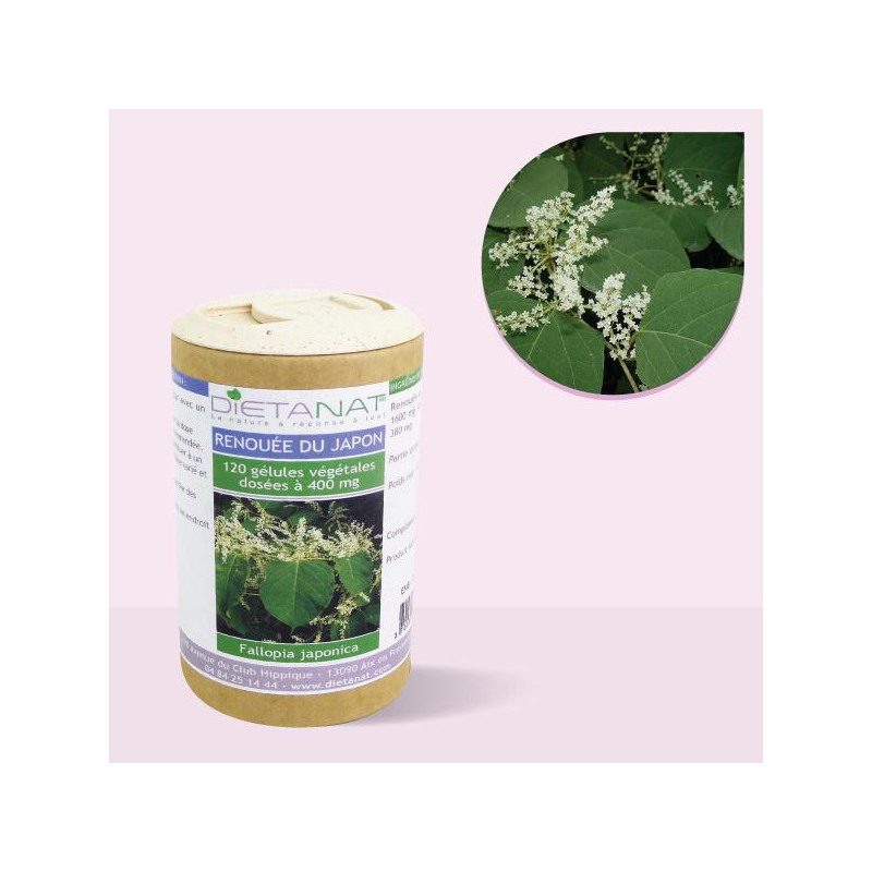Renouée du Japon - 120 gélules végétales 400mg