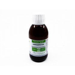 Harpagophytum bio - 125ml Teinture mère bio