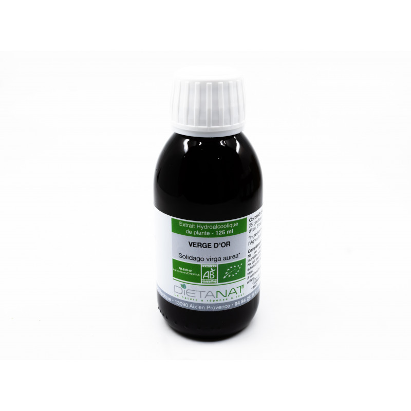 Solidago bio Verge d'Or -...