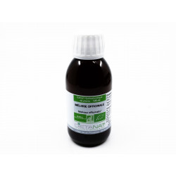 Mélisse officinale bio -...