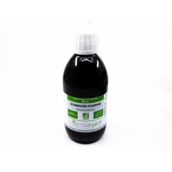 Echinacea Purpurea bio -...