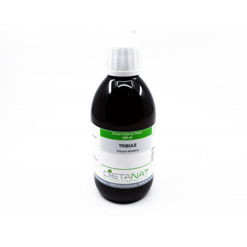 Tribulus Terrestris - 250ml Extrait de plantes fraiches
