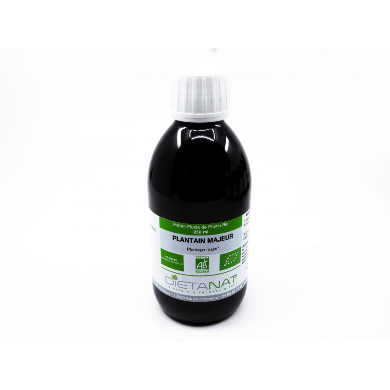 Plantain Major bio - 250ml Extrait de plantes fraiches bio