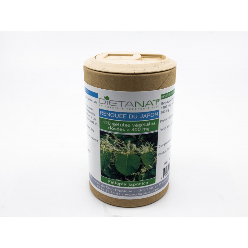 Renouée du Japon - 120 gélules végétales 400mg