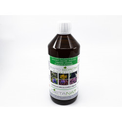 Complexe Digestion - 500ml Extrait de plantes fraiches et bourgeons