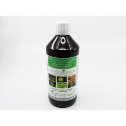 Complexe Minceur - 500ml Extrait de plantes fraiches
