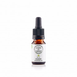 N°17 Charme / Hornbean Fleurs de Bach 10 ML