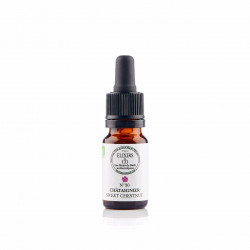 N°30 Chataîgnier / Sweet Chestnut Fleurs de Bach 10 ml