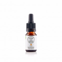 N°37 Eglantine / Wild Rose Fleurs de Bach 10 ml