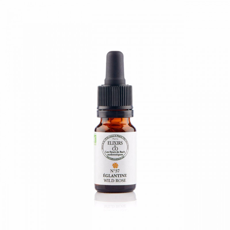 N°37 Eglantine / Wild Rose Fleurs de Bach 10 ml