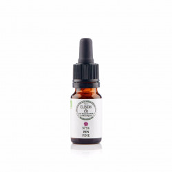 N° 24 Pin / Pine Fleurs de Bach 10 ml