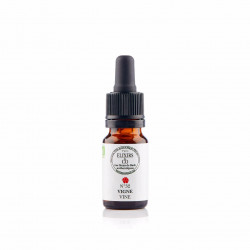 N°32 Vigne / Vine Fleurs de Bach 10 ml