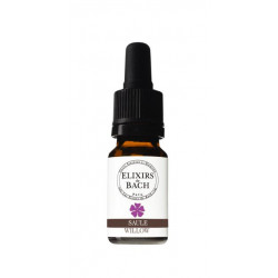 N°38 Saule / Willow Fleurs de Bach 10 ml