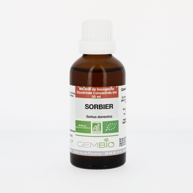 Sorbier bio Extrait de bourgeons frais - 50ml Macérât concentré