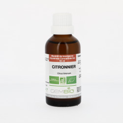 Citronnier bio Extrait de bourgeons frais - 50ml Macérât concentré