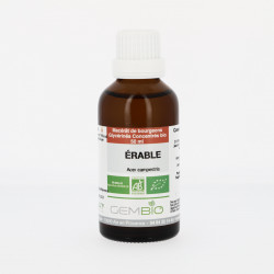 Erable Champêtre bio...