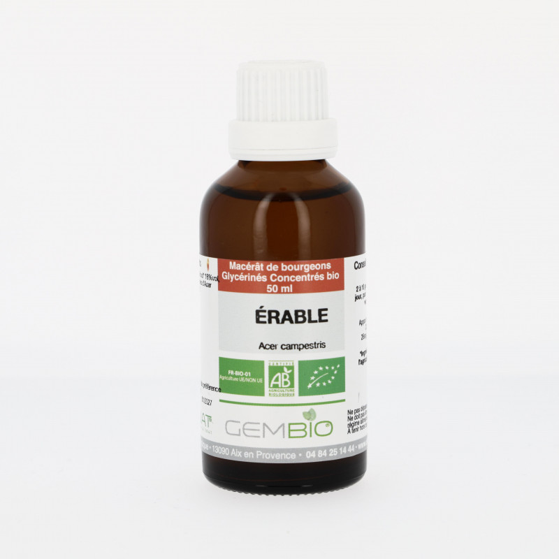 Érable Champêtre bio Extrait de bourgeons frais - 50ml Macérât concentré