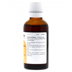 Erable Champêtre bio...