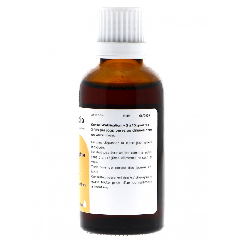 Erable Champêtre bio...