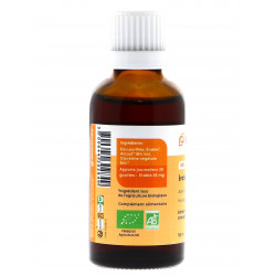 Erable Champêtre bio...