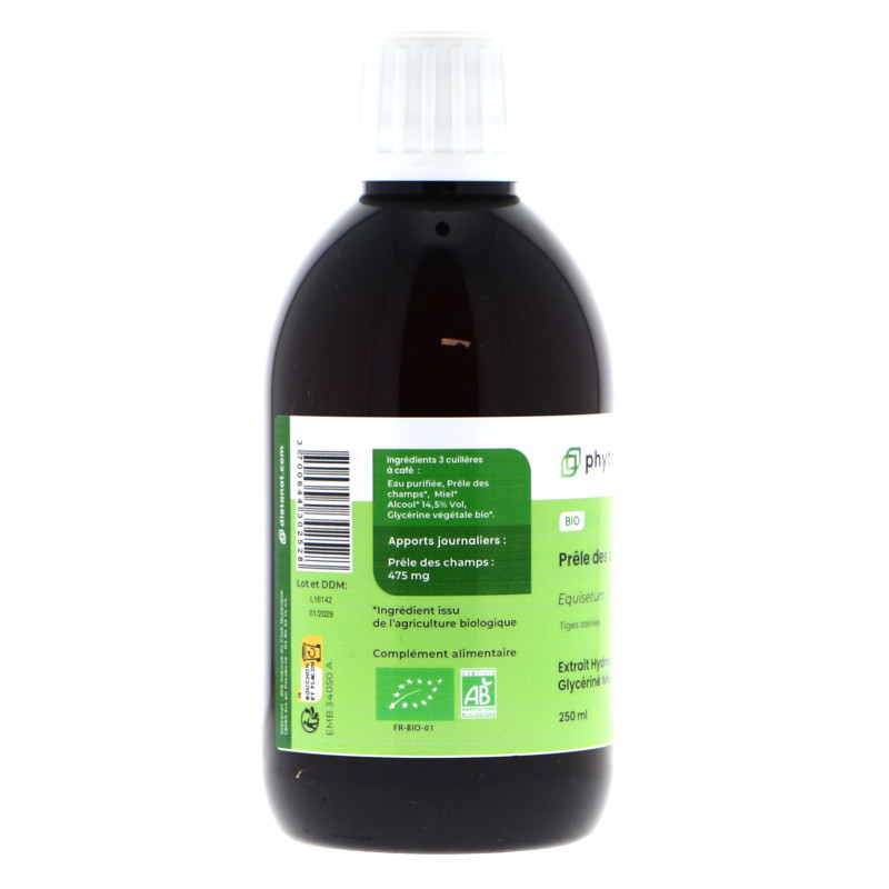 Prêle des champs bio -...