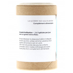 Organic Echinacea purpurea...