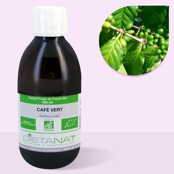 Café Vert bio - 250ml Extrait de plantes fraiches bio