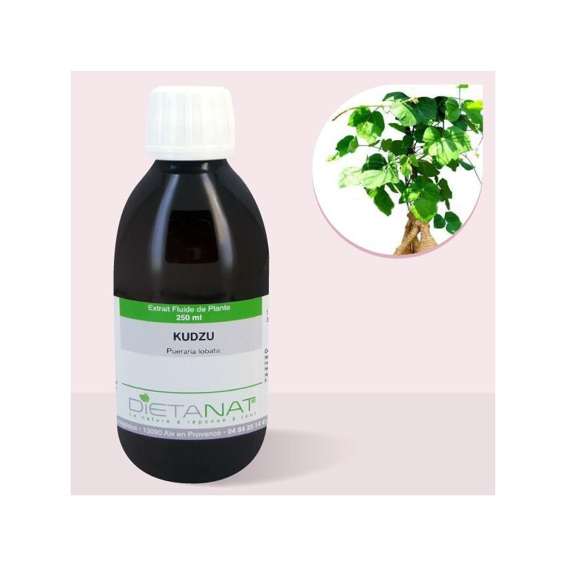Kudzu - 250ml Extrait de...