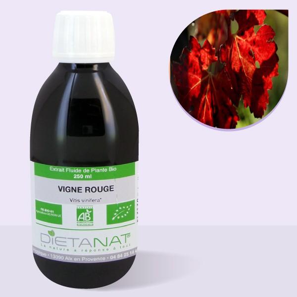 Vigne Rouge bio - 250ml Extrait de plantes fraiches bio