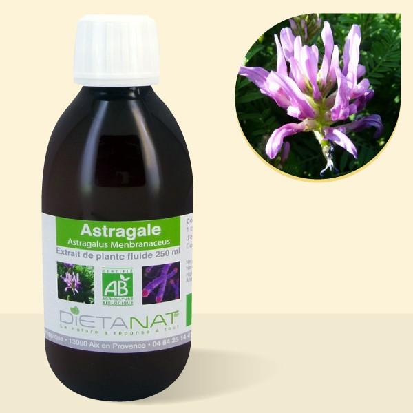 Astragale bio - 250ml Extrait de plantes fraiches bio