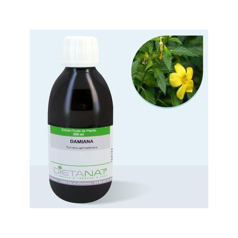 Damiana - 250ml Extrait de...