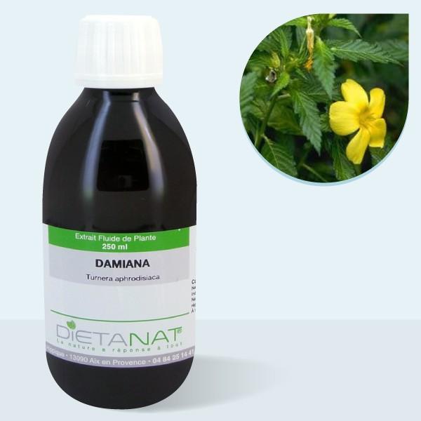Damiana - 250ml Extrait de plantes fraiches