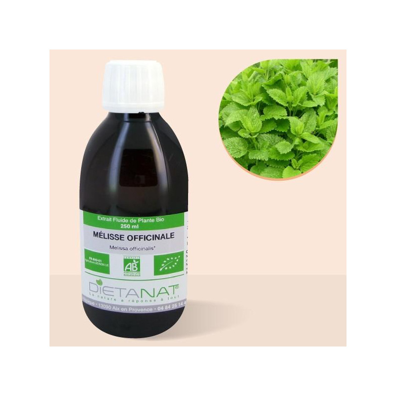 Mélisse officinale bio -...