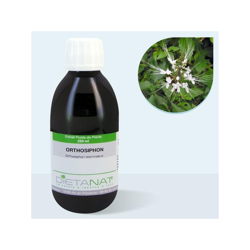 Orthosiphon bio - 250ml Extrait de plantes fraiches bio
