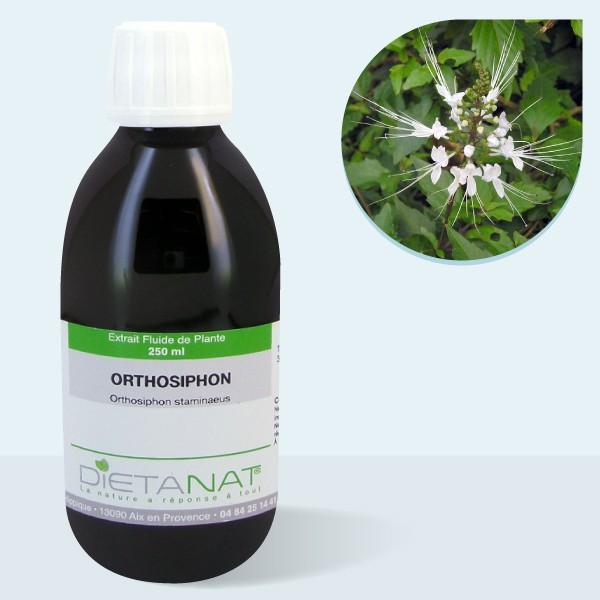 Orthosiphon bio - 250ml Extrait de plantes fraiches