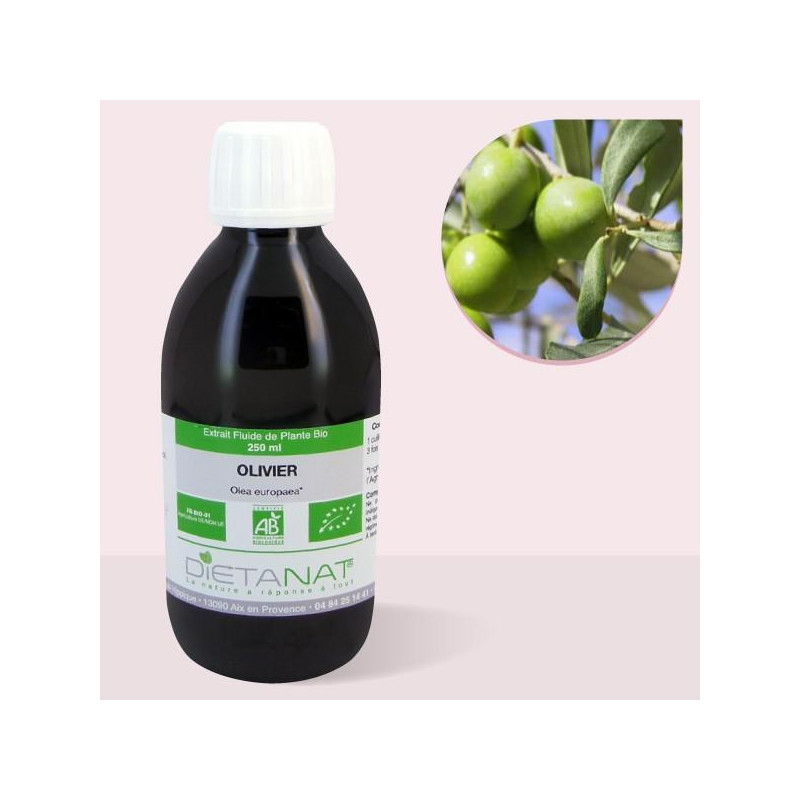 Olivier bio - 250ml Extrait...