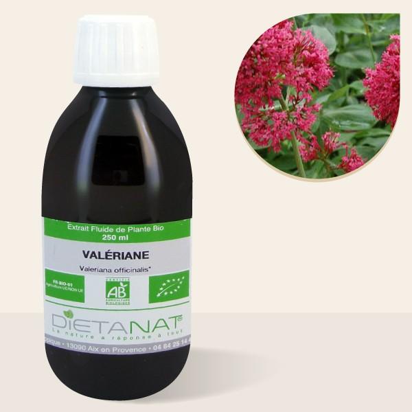 Valériane bio - 250ml Extrait de plantes fraiches bio