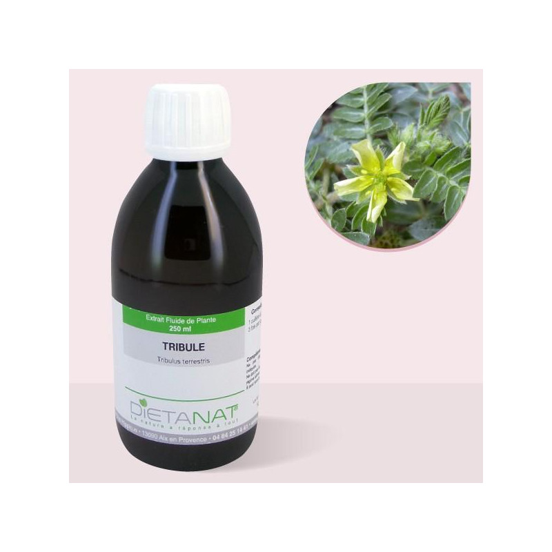 Tribulus Terrestris - 250ml...