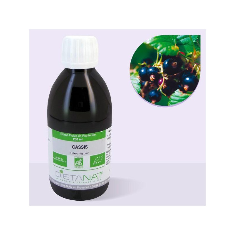 Cassis bio - 250ml Extrait...