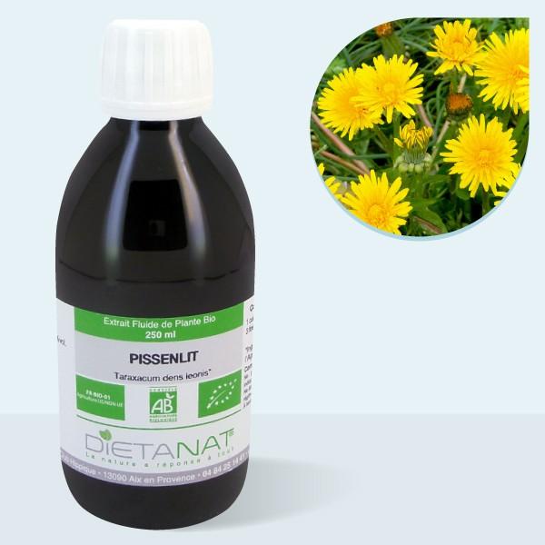 Pissenlit bio - 250ml Extrait de plantes fraiches bio