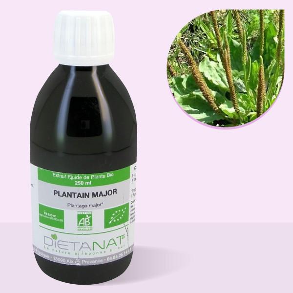 Plantain Major bio - 250ml Extrait de plantes fraiches bio