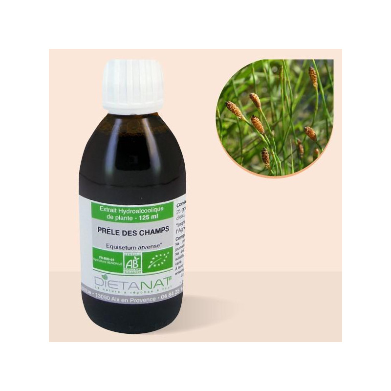 Prêle des champs bio -...