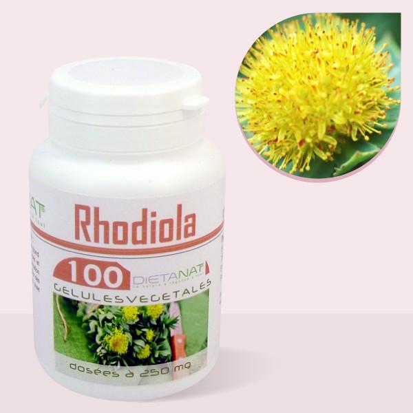 Rhodiola 3% de Saldrosides - 100 gélules végétales 250mg