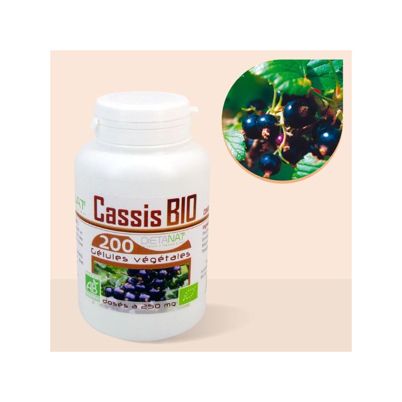 Cassis feuilles bio - 200 gélules de plantes 250mg