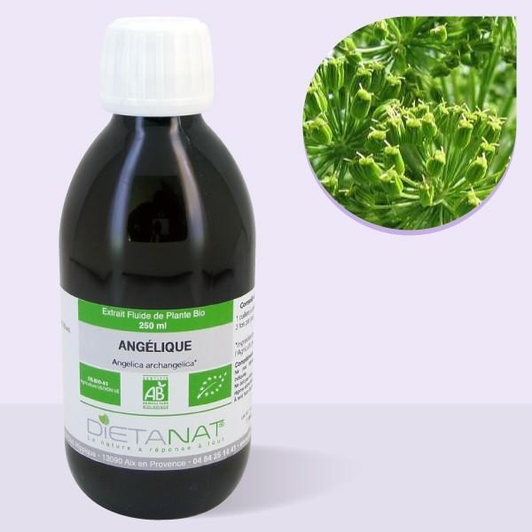Angélique bio - 250ml Extrait de plantes fraiches bio